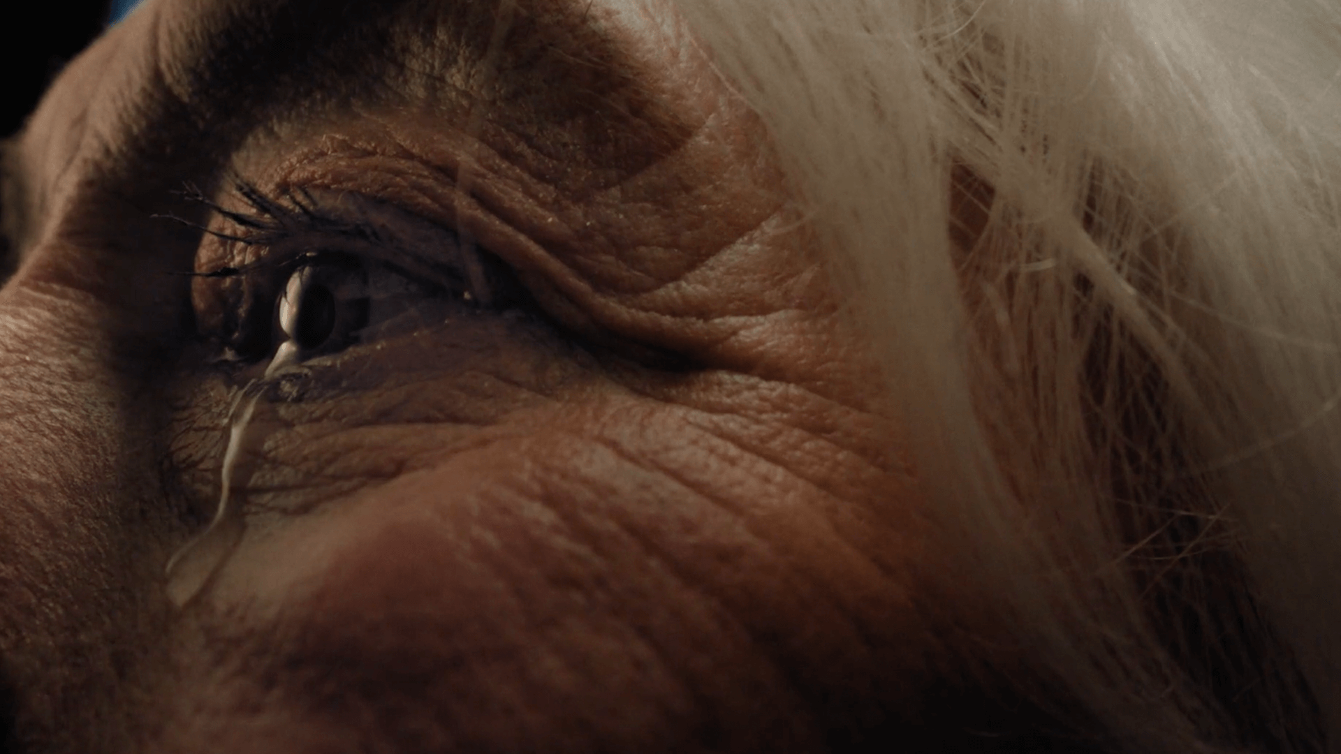 UN HOMENAJE MERECIDISIMO